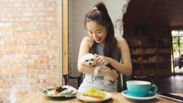 istock Puppy and owner enjoying afternoon tea in cafe 1407930211