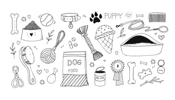 ilustraciones, imágenes clip art, dibujos animados e iconos de stock de ilustración vectorial moderna dibujada a mano de accesorios para perros. objetos para mascotas: correa, collar, amuleto, comida para perros, tazón, juguetes y elementos florales. gráfico perfecto para pegatinas, logotipo, publicidad, blogs - grooming dog pets brushing