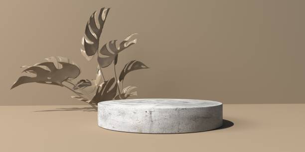 istock 3D render of minimal podium and tropical plants 1407931612