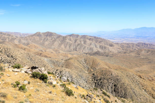 istock Keys view point at Joshua tree national park 1407935794