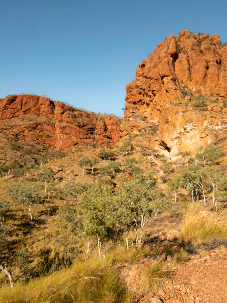 istock Red Rocks of the Bungle Bungle range 1407939594