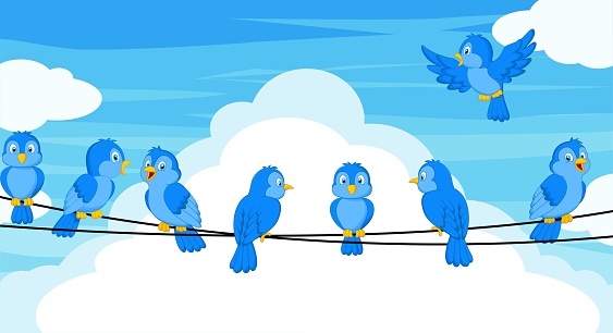 Set of blue bird cartoon sitting on wires