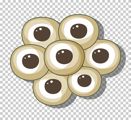 Eggs of frog or frogspawn in cartoon style