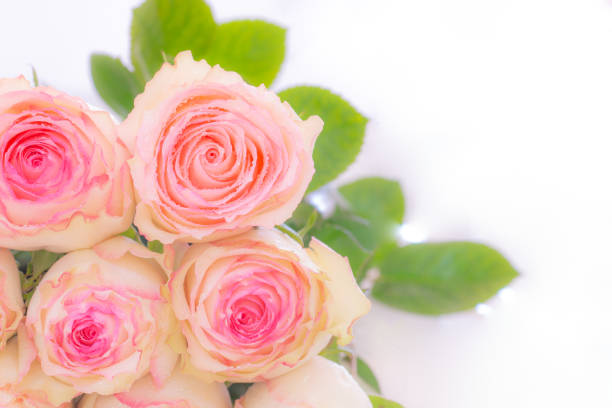Elegant arrangement of fresh pink roses in a clear glass vase, photographed during golden hour. The soft pink blooms create a romantic centerpiece against a blurred sunset background. The arrangement features delicate garden roses with lush green foliage, perfect for wedding decoration, special events, or luxury interior styling.