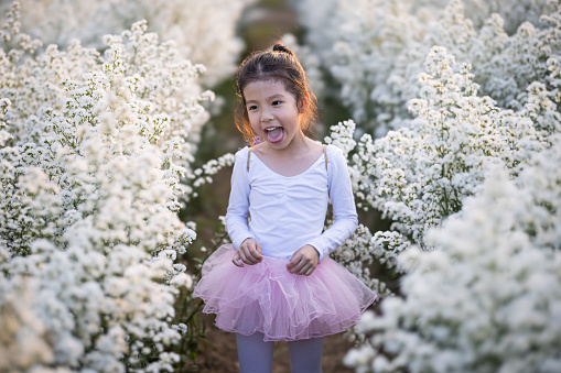 Cute little smiling girl wear a magic ballet fairy costume in beautiful white of margaret flowers field.