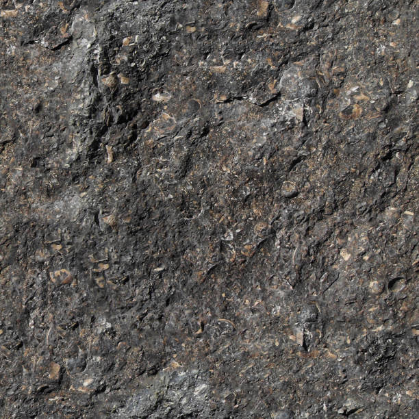 istock Fossiliferous Fossil Rock Shale Seamless Texture Pattern - Jarret Verwimp Design 1407951775