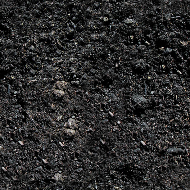 black dirt e mulch, pedaços de madeira padrão de textura sem emenda - jarret verwimp design - humus soil - fotografias e filmes do acervo