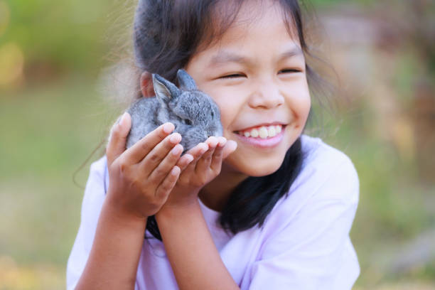 Asian girl holding adorable bunny fluffy in hand with tenderness and love. People take care and play with a pet. Asian girl holding adorable bunny fluffy in hand with tenderness and love. People take care and play with a pet. fluffy rabbit stock pictures, royalty-free photos & images