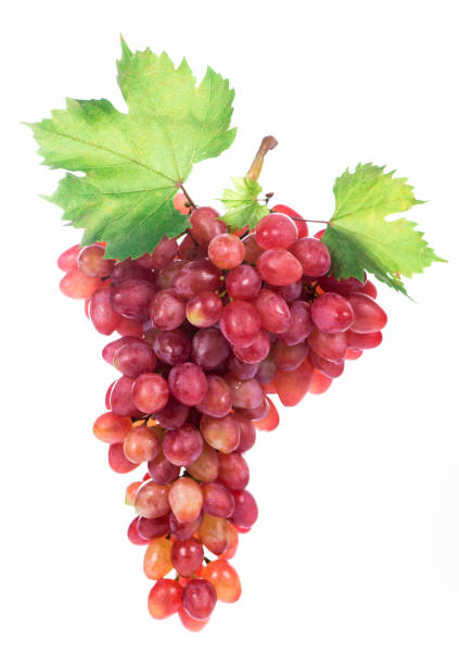 istock grapes bunch isolated on the white background 1407954393