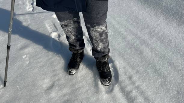 istock Legs in the snow and a Nordic walking stick 1407954472