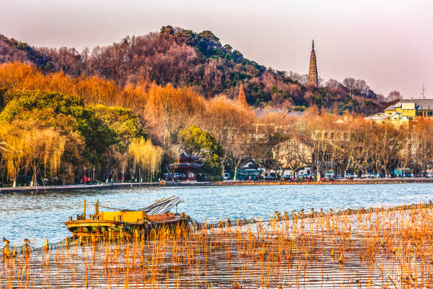 alte baochu pagode gelben boot von hangzhou, westen lake, zhejiang, china - zhejiang provinz stock-fotos und bilder