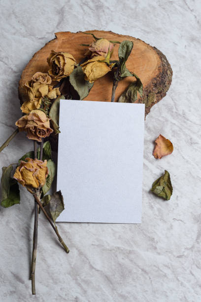 istock Blank card and wilted flowers on marble background 1407957164