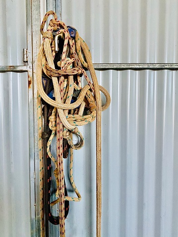 Vertical still life of ropes hanging on hook in farm shed on corrugated iron wall used for harnessing horse and lassoing cattle in county Australia