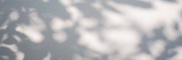 istock Shadow of foliage on white background. Overlay. 1407962417