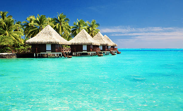 over water bungalows with steps into amazing lagoon - tahiti stockfoto's en -beelden