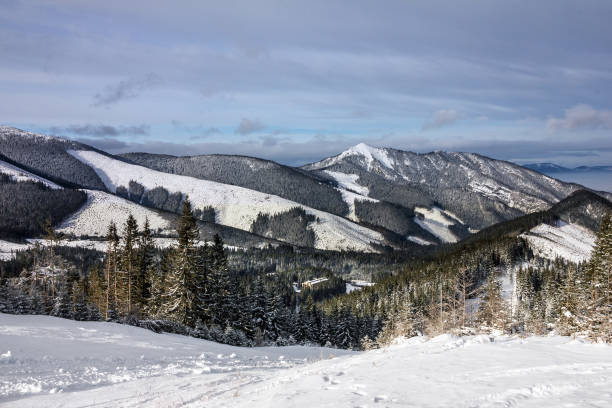 istock winter mountain forest snow landscape 1407964287