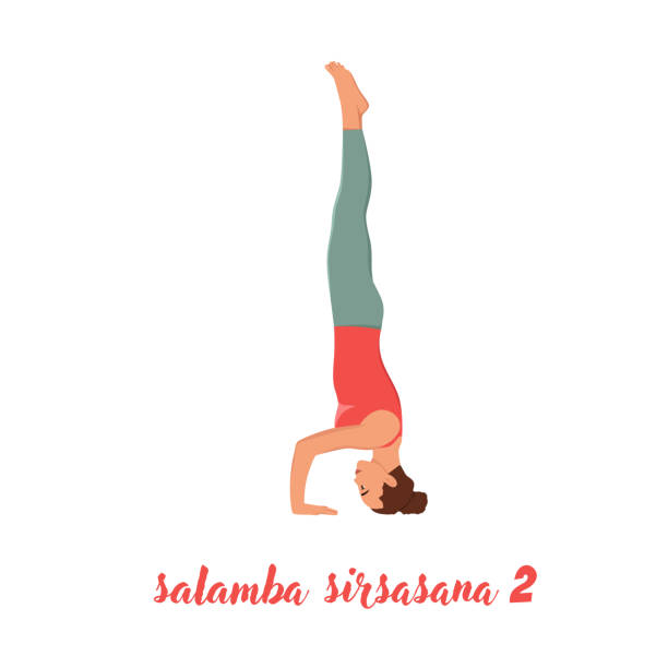 Woman working out against white wall, doing yoga or pilates exercise. Headstand, salamba sirsasana II. Flat vector illustration isolated on white background Woman working out against white wall, doing yoga or pilates exercise. Headstand, salamba sirsasana II. Flat vector illustration isolated on white background headstand stock illustrations