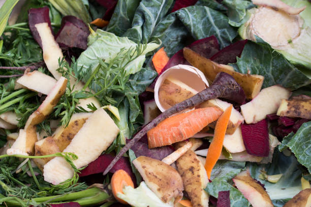 istock composting, organic food waste closeup 1407970603