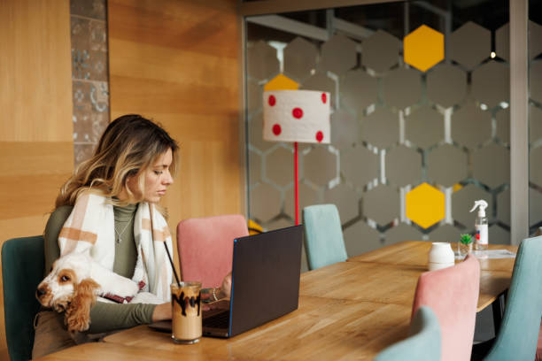 istock Young female freelancer working on a laptop from pet friendly coffee shop 1407972567