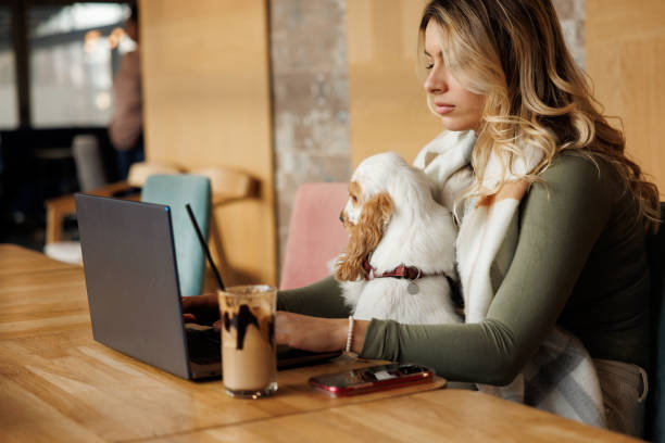 istock Young female freelancer working on a laptop from pet friendly coffee shop 1407973073