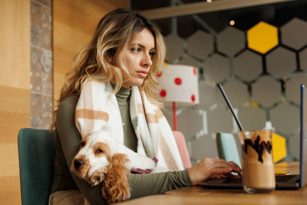 istock Young female freelancer working on a laptop from pet friendly coffee shop 1407974214