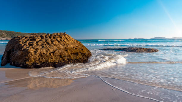 istock Squeaky Beach at Wilson's Prom 1407976873