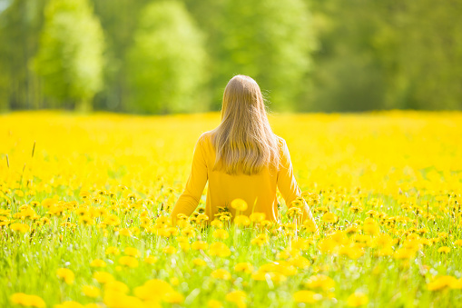 Beautiful, russet young woman with a hat standing in the middle of the flower meadow, surrounded by yellow flowers, with her arms outstretched