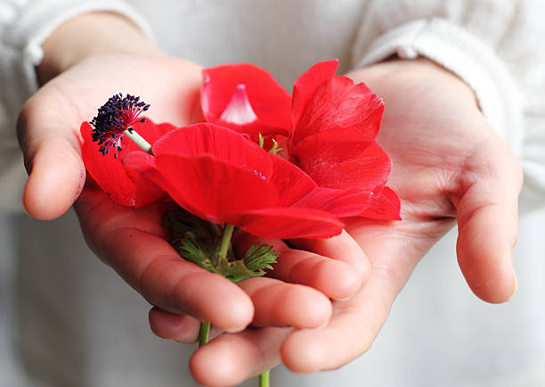 istock woman holding fitst spring flowers 140797781