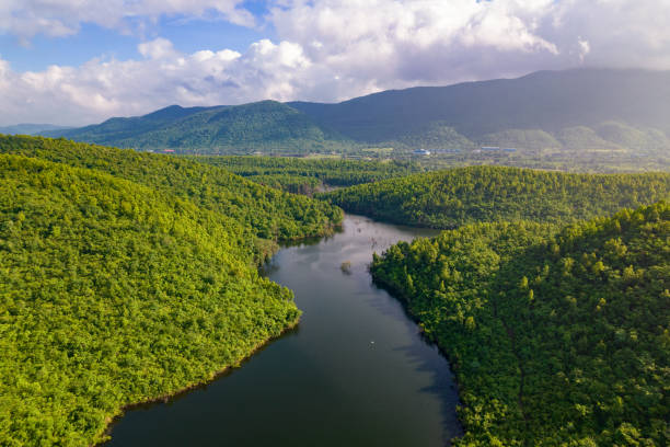 istock Aerial landscape with green hills, river and forest 1407983941