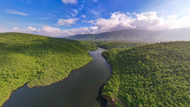 istock Aerial landscape with green hills, river and forest 1407984054