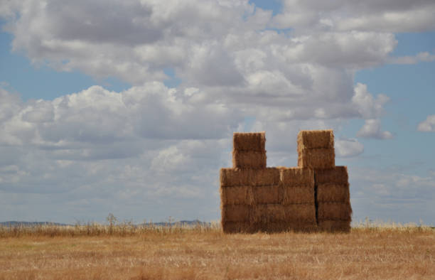 istock Straw bales in the field 1407984145