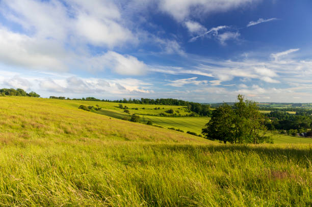 farthing commun - north downs scenics western europe southeast england photos et images de collection