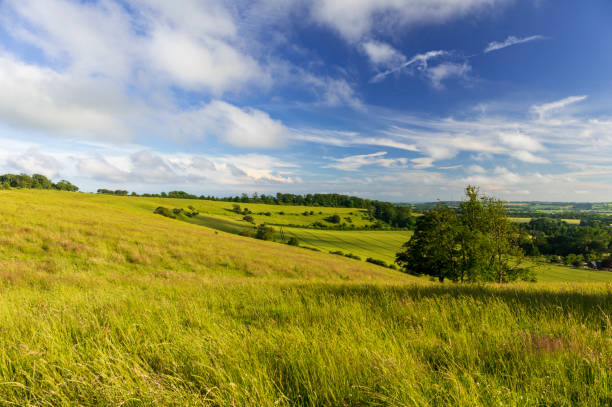 Farthing Common Summer on Farthing Common Wye Down part of the North Downs running through Kent in south east England UK southeast stock pictures, royalty-free photos & images