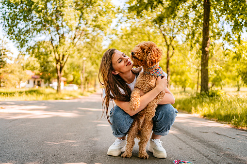Young woman in a public park playing with her cute labradoodle dog.