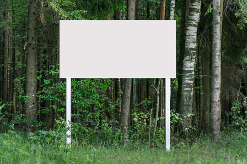 Empty white advert board stands on green grass against tree trunks in forest on summer day