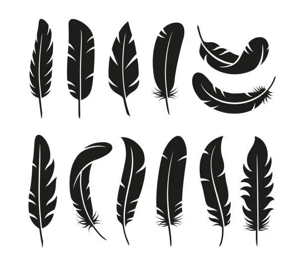 Vector illustration of Isolated feather silhouettes. Flat black feathers, vintage bird plumage elements. Smooth graphic shapes, flying decorative elements tidy vector collection