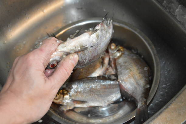 istock Cleaning river fish after fishing from scales 1407993642