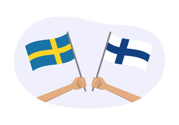 ilustrações de stock, clip art, desenhos animados e ícones de finland and sweden flags. swedish and finnish national symbols. hand holding waving flag. vector illustration. - rutabaga