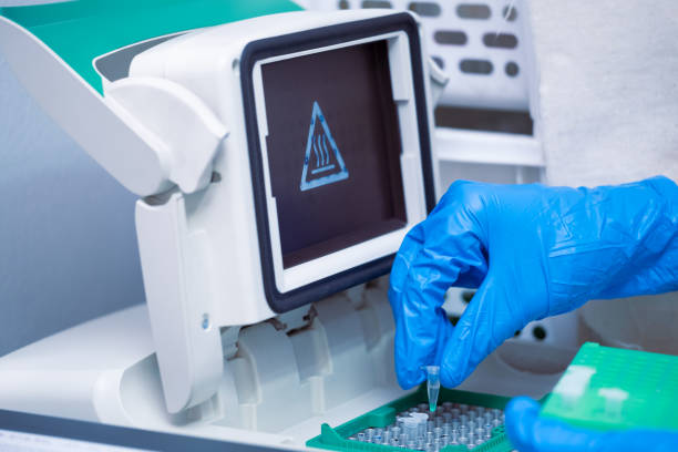 Real-time PCR for identification of pathogen, bacteria, virus including Covid19. stock photo