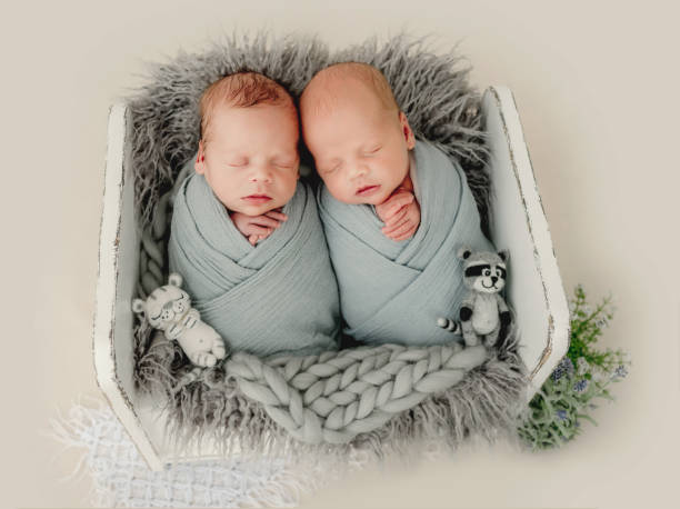 istock Twins newborn studio portrait 1407997825