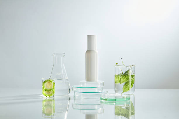 istock Front view of bitter melon decorated with laboratory equipment in white background 1407997884