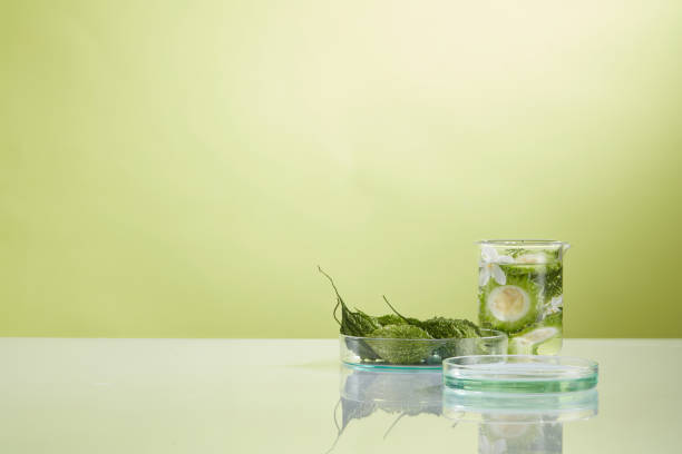 istock Front view of bitter melon decorated with laboratory equipment in green background 1407997947