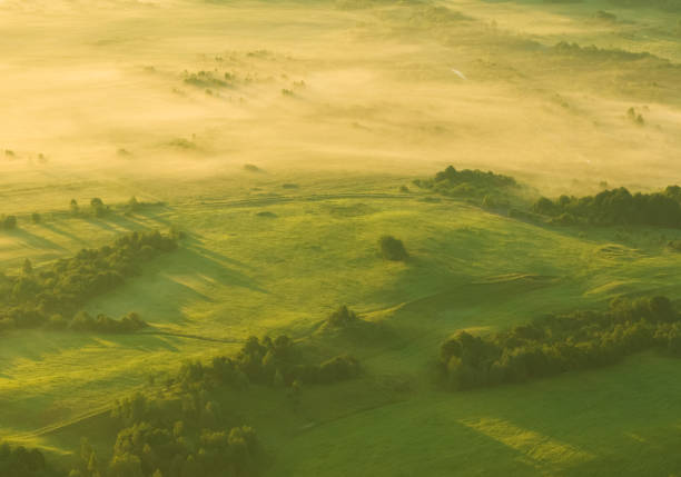 alba nebbiosa. natura all'alba nella nebbia, vista aerea. nebbia mattutina foschia in campo agricolo. scena mattutina soleggiata nella valle della foresta nebbiosa. - tuscany italy sunrise rural scene foto e immagini stock