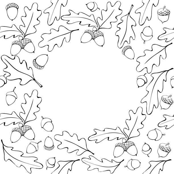 90  Oak Leaf And Acorn Coloring Illustrations Royalty Free Vector 90  Oak Leaf And Acorn Coloring Illustrations Royalty Free Vector