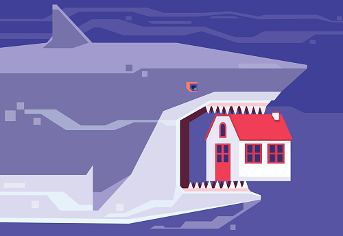 big shark holding house