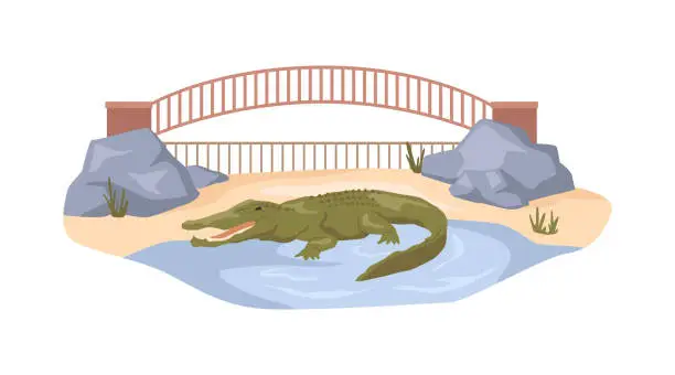 Vector illustration of Crocodile in nature reserve bio park for animals, habitat for alligator. Zoo with semiaquatic reptiles, climate and pond for amphibian. Menagerie flat cartoon, vector illustration