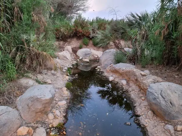 Photo of Stream flowing through in the forest in Al Ain ,UAE