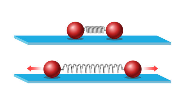 ilustrações, clipart, desenhos animados e ícones de newton law of motion. lei da inércia. força elástica. mudança na distância de movimento de um objeto dependendo da compressão ou extensão das molas. experiência física com molas e bola. - la mola