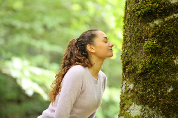 femme sentant la mousse dans un arbre dans une forêt - moss side photos et images de collection