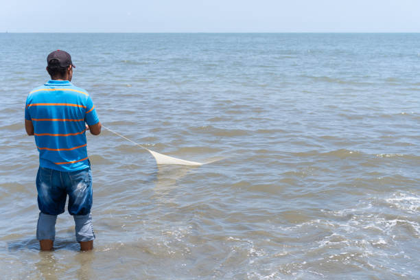 Fisherman on the beach retrieving a fishing net